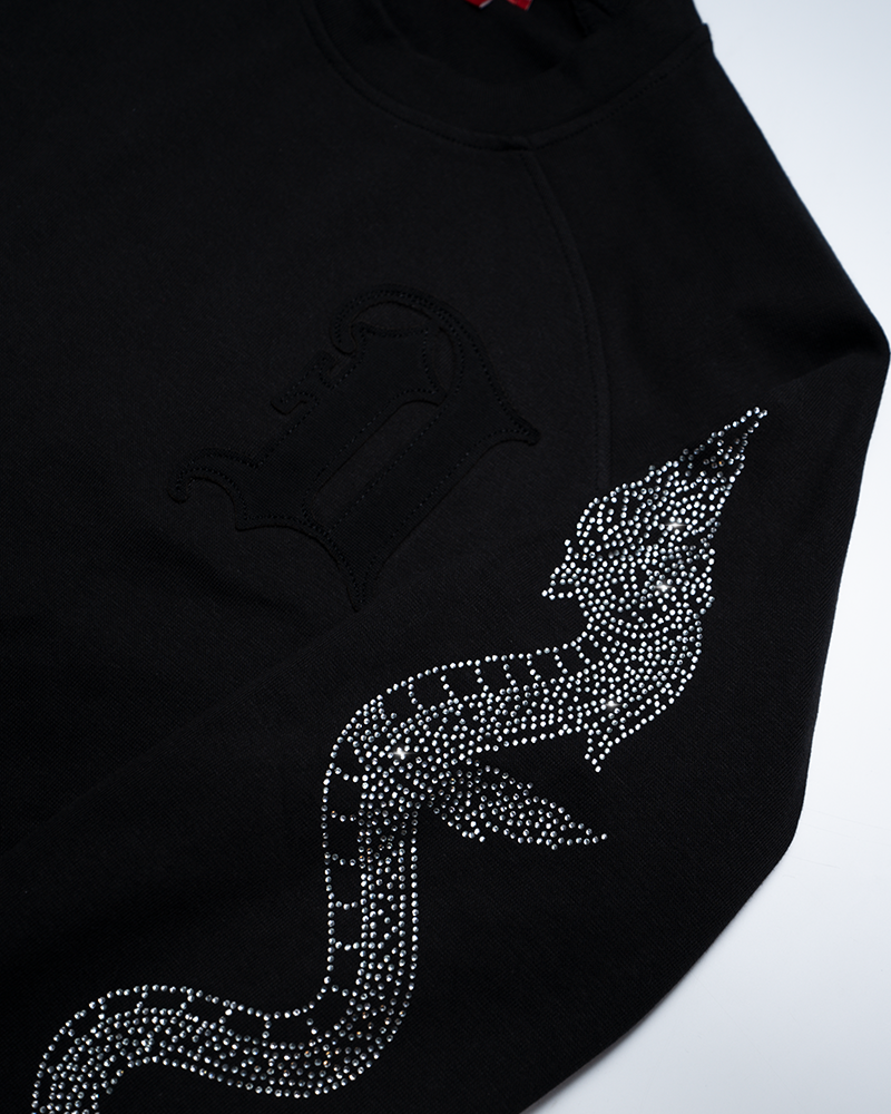 D26-CRYTAL DRAGON LONGSLEEVE