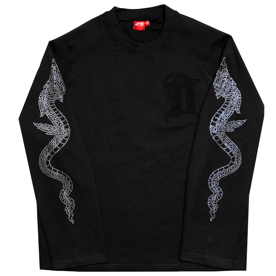 D26-CRYTAL DRAGON LONGSLEEVE